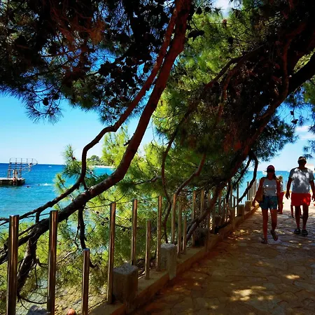 In The Heart Of - 50m To The Apartment Porec